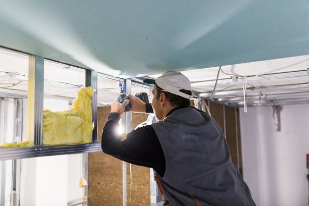 Best Cellulose Insulation in Truth Or Consequences, NM